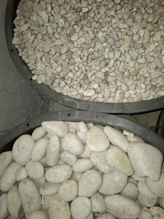 Seixo rolado branco. Pedras brancas decorativas.