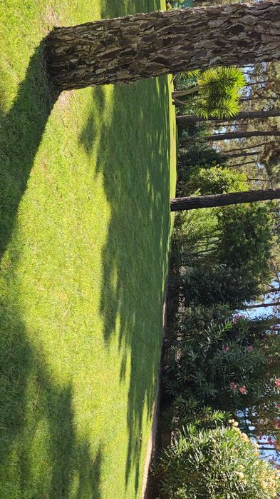 Construcao manutencoes e limpezas de jardins