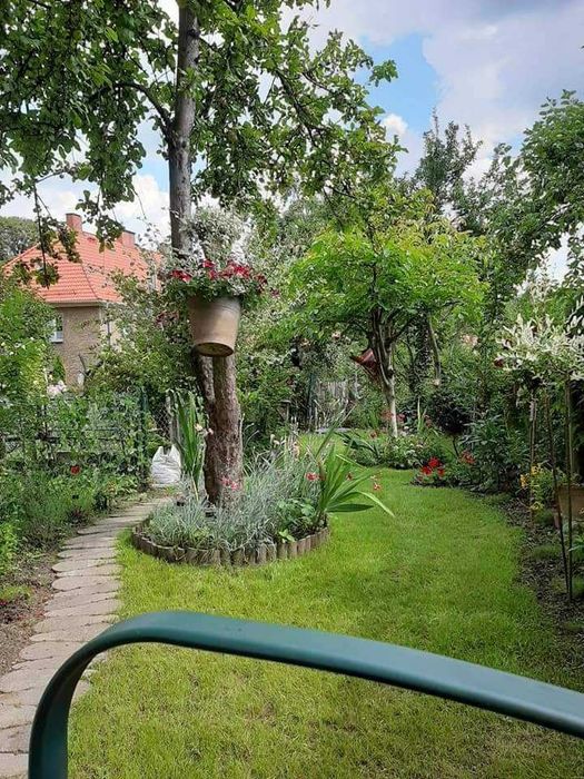 Sprzątanie, mycie okien, prace ogrodowe. Wałbrzych,  Wrocław i okolice