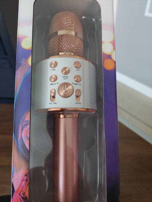 Micro Karaoke Bluetooth