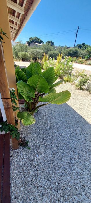 VENDO MORADIA T1 EM QUINTA