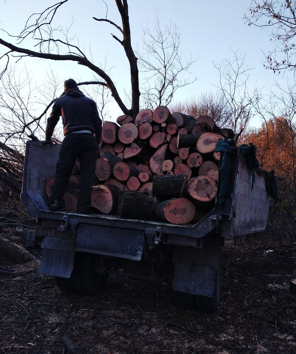 Дрова твердых пород продам Акация ,ясень ,клён по выгодным ценам.