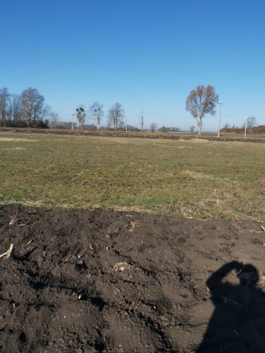Działka  zagrodowa.
