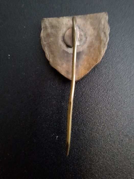 Pins, wpinka, 50 lecie Polonia Bytom