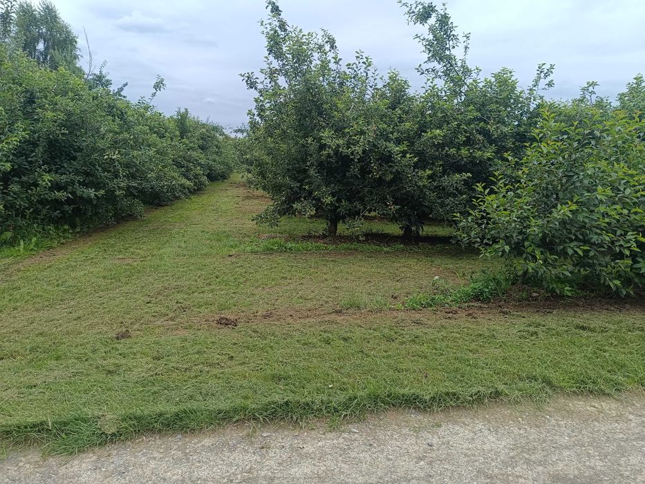 Działka budowlana ul. Stara Prochownia. - Widok 3