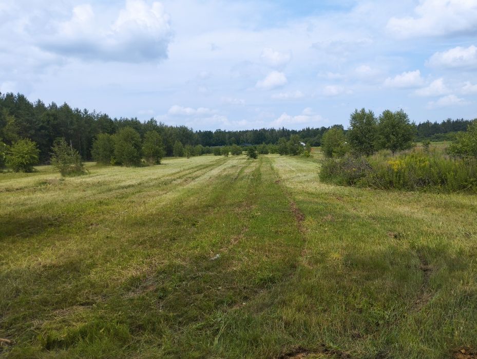 Działka budowlana Maksymilianów