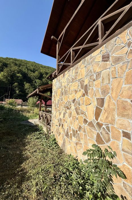 Будинок 290м2, Карпати, м. Свалява