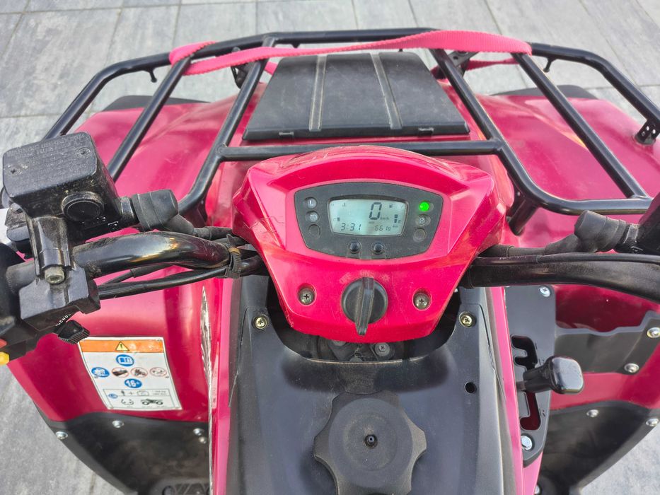 Kawaski KVF 300 Brute Force