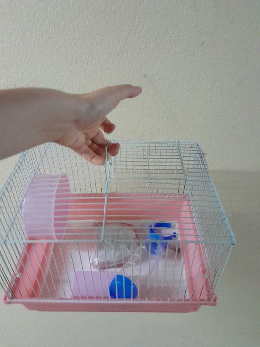 Gaiola para hamster