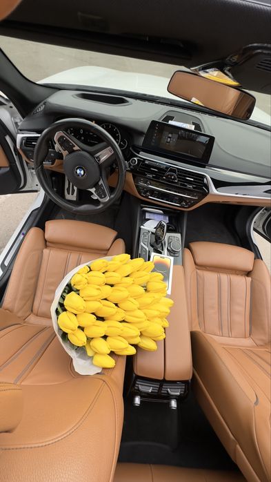 Тюлпан великий український Бровари опт