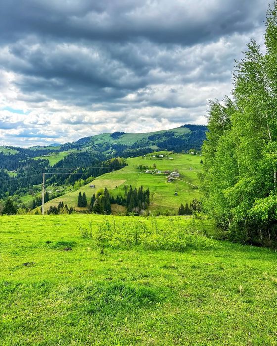 Продається земельна ділянка 94 сотики в Верховині присілок Пушкарі.