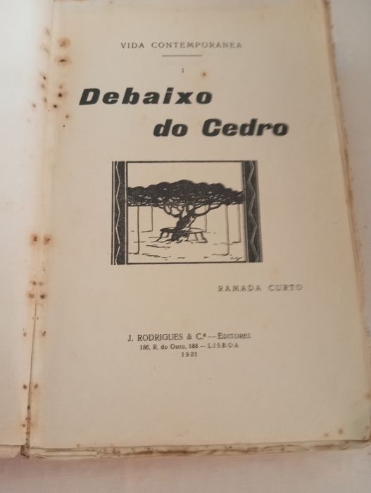 Ramada Curto - Debaixo do cedro (1ª Edição)