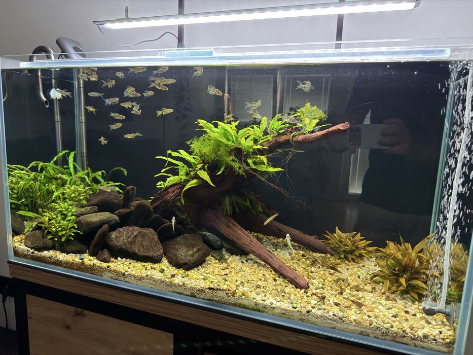 Akwarrium 200 litrow - zestaw