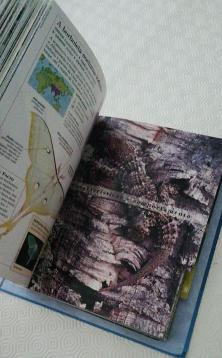 Coleção "O fascinante mundo animal"