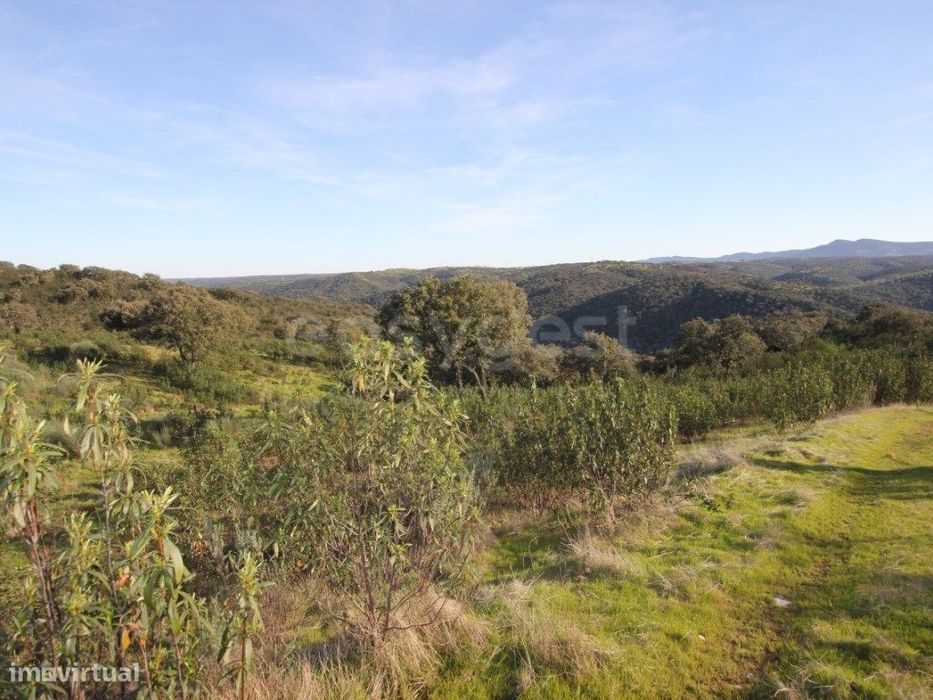 Herdade com acesso direto ao Rio Tejo Parque Natural do Tejo Intern...