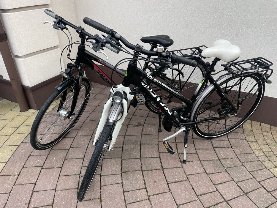 Rowery Pegasus, Raleigh koła 28"