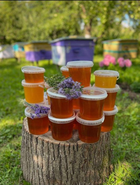 Мед домашній натуральний з власної пасіки