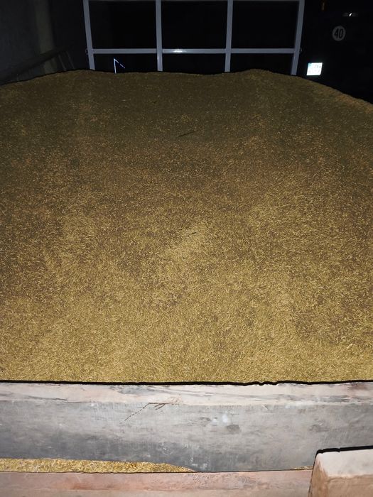 Sprzedam Owies pellet