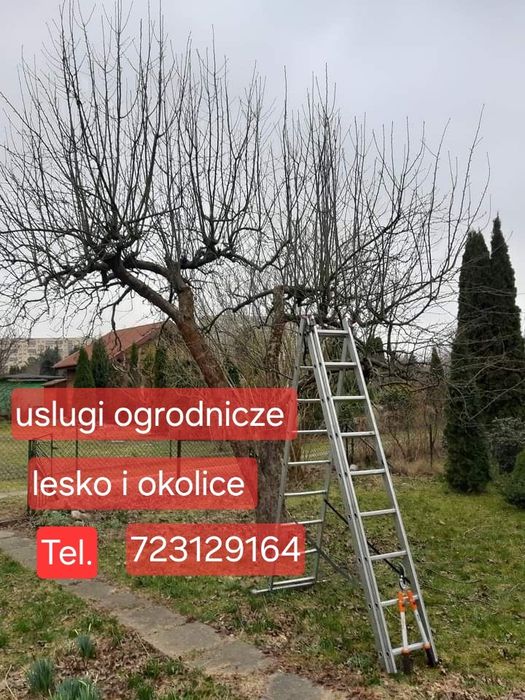 Koszenie Traw ,  strzyżenie tui ,wycinka drzew
