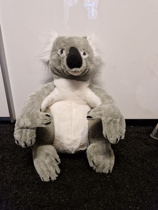 Pluszowy miś koala
