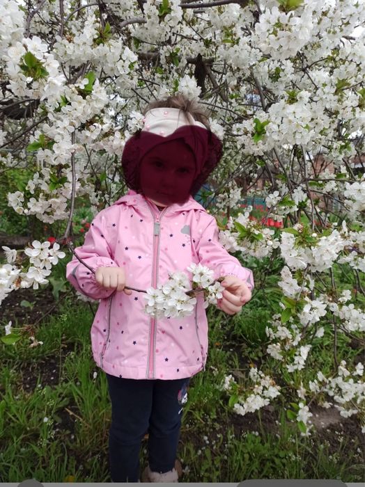 Куртка демісезонна, весна/осінь, вітровка