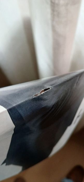 Poster Tony Carreira/António Félix da Costa