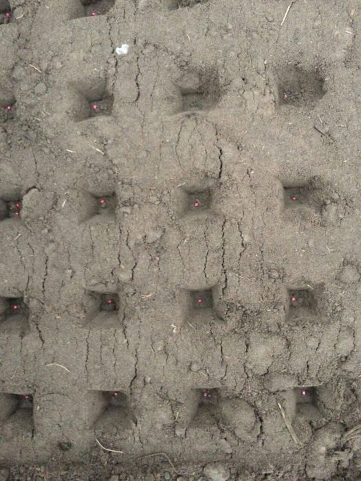 Вакуумна сівалка для редису. Сеялка точного высева для редис редиса.