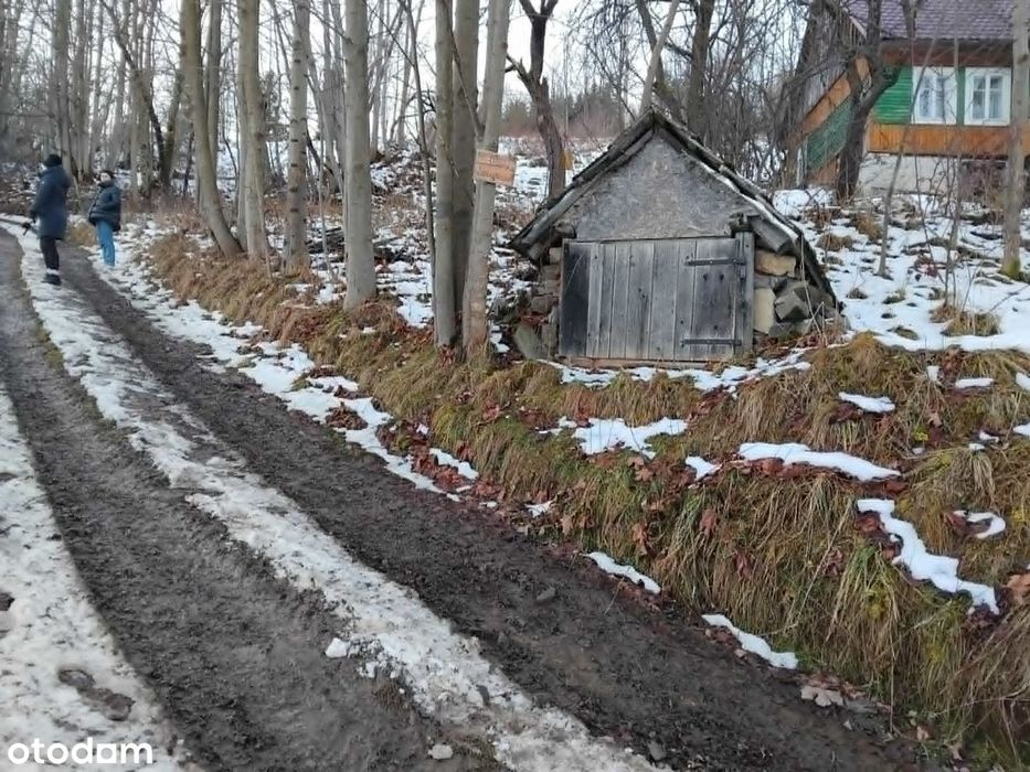 Sprzedaż gospodarstwa z widokiem na Babią Górę – ok. 2,5 ha - Widok 4