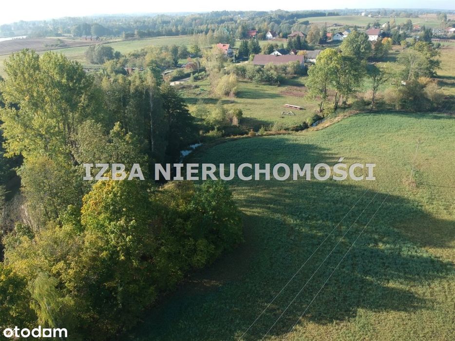 Działka, Bienie