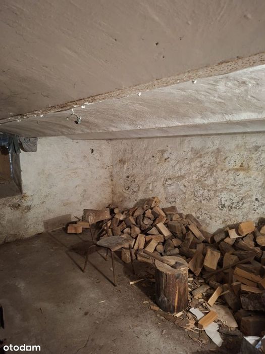 Przestronny dom 260 m² z ogrodem
