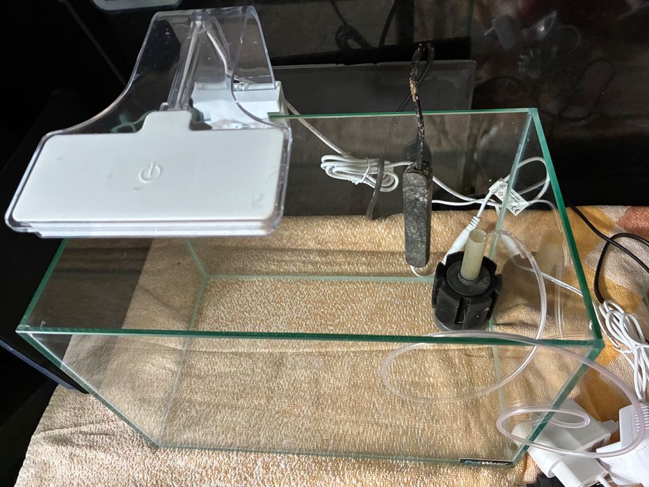 Aquário 11L - conjunto