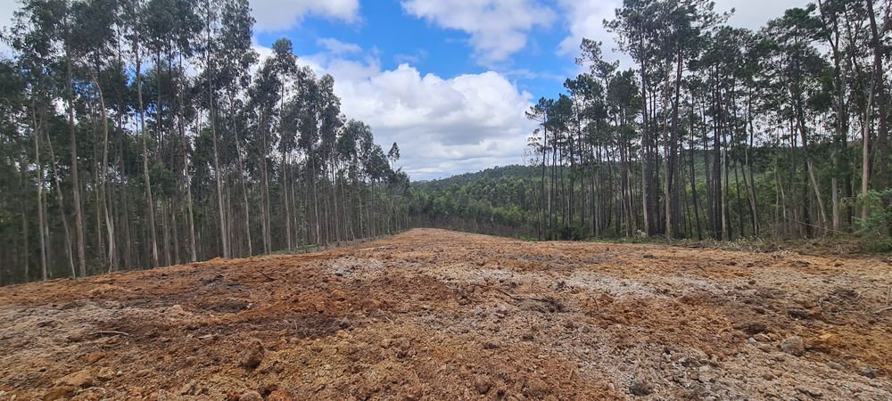 Prestação de serviços
