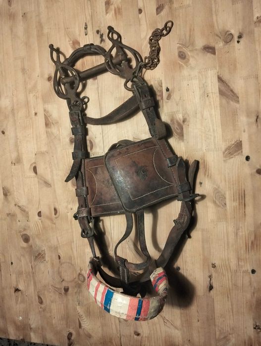 Cabecada para cavalo