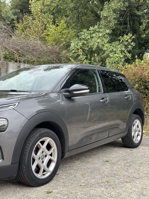 C4 Cactus 1.2 de 2019