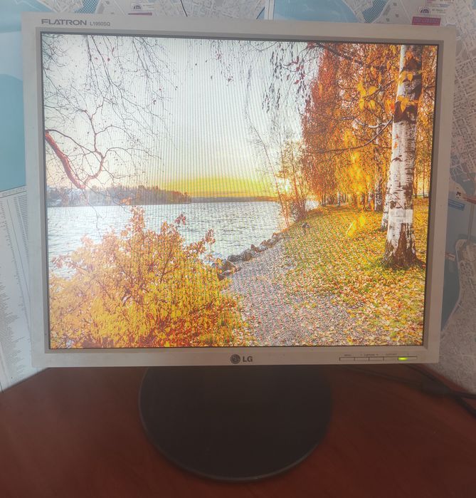 Монитор LG L1950SQ