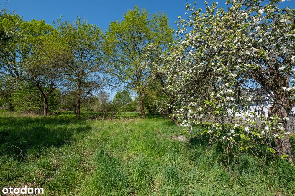 Działka budowlana | Jaśkowice, gm. Skawina | 20 km od granic Krakowa - Widok 2