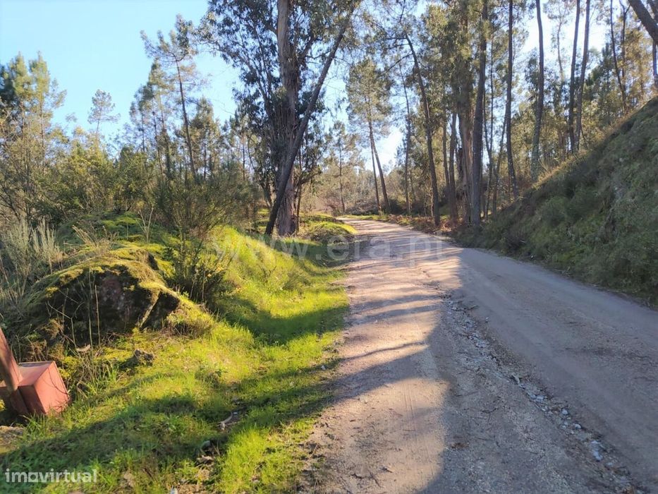 Terreno / Marco de Canaveses, Várzea, Aliviada e Folhada