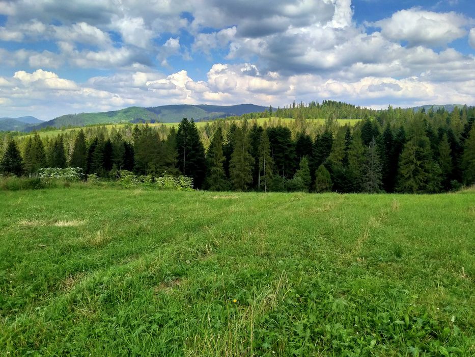 Продаж красивої земельної ділянки ,Славсько ,Волосянка