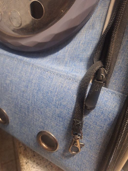 Mochila transportadora para gatos e cães