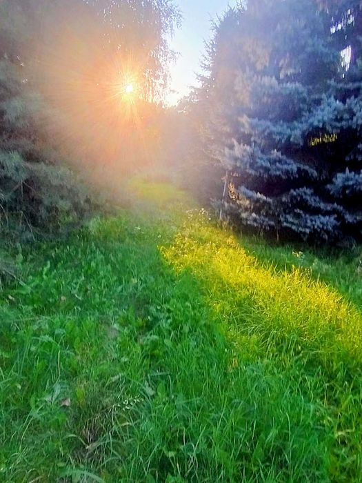 sprzedam działkę budowlaną - Widok 4