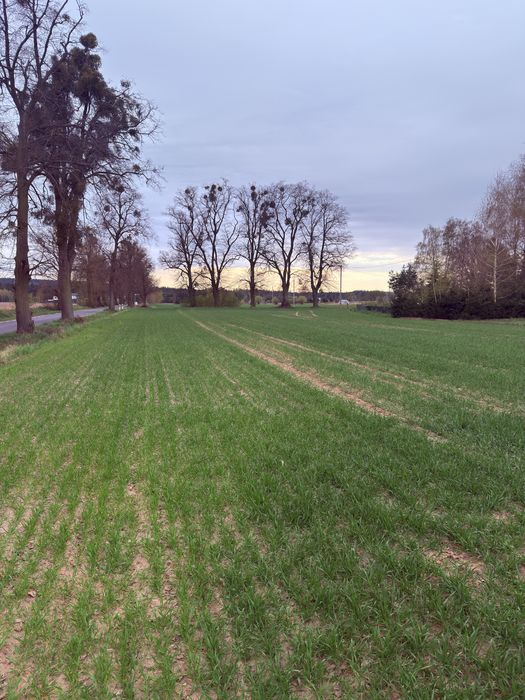 Działki 1000, 1000 oraz 1500 m2