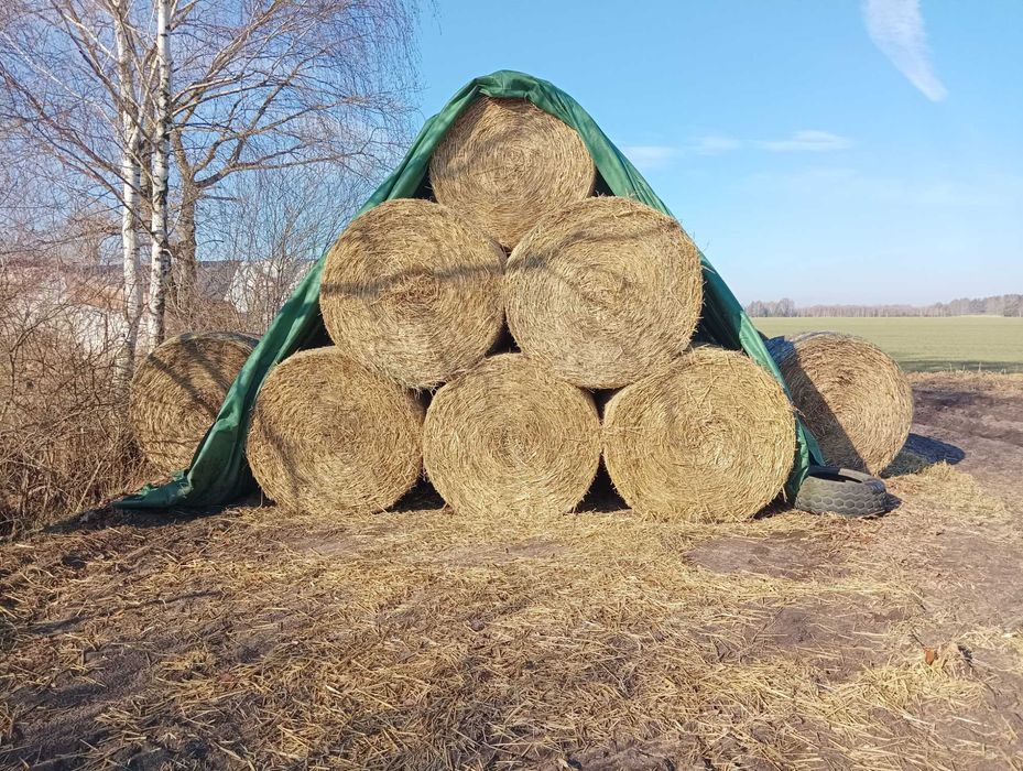 Słoma w balotach