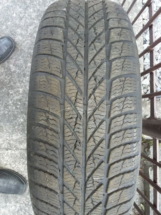 Gislaved Euro Frost5.1шт.