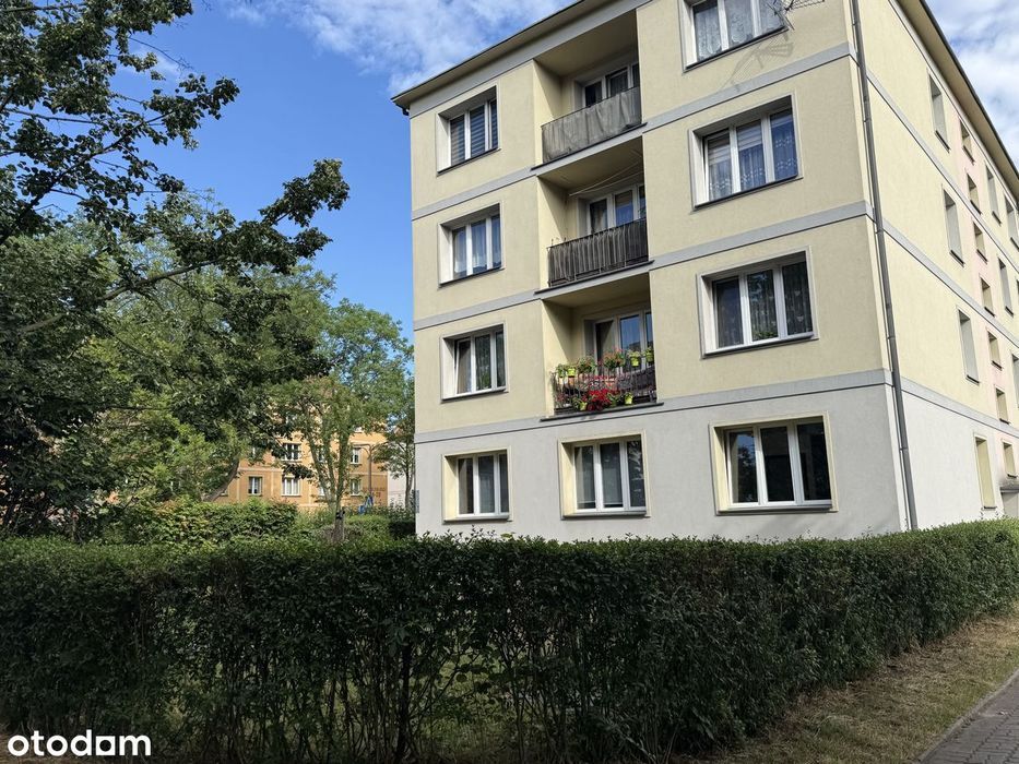 Do wynajęcia duże mieszkanie, Tychy Al. Niepodległości 13