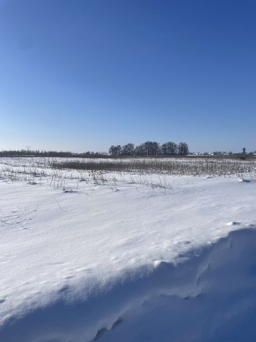 Продам земельну ділянку в селі Піддубці