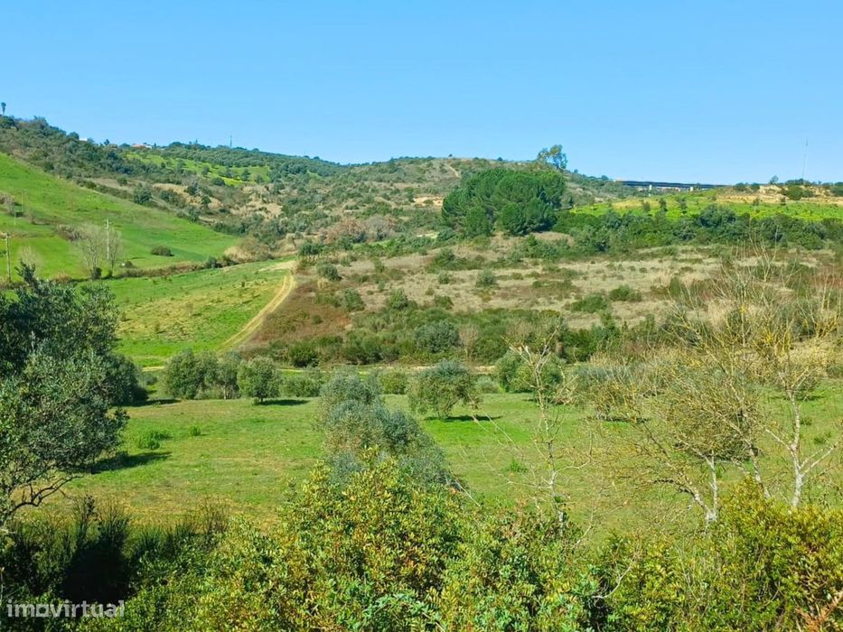 Terreno Rústico com 2 hectares