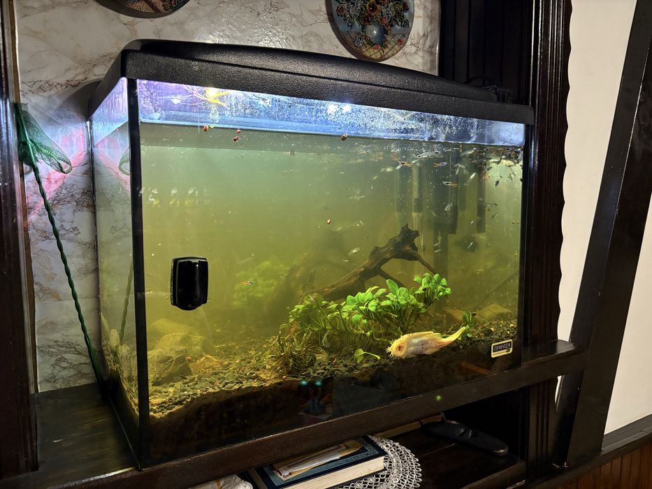 продам акваріум б/у