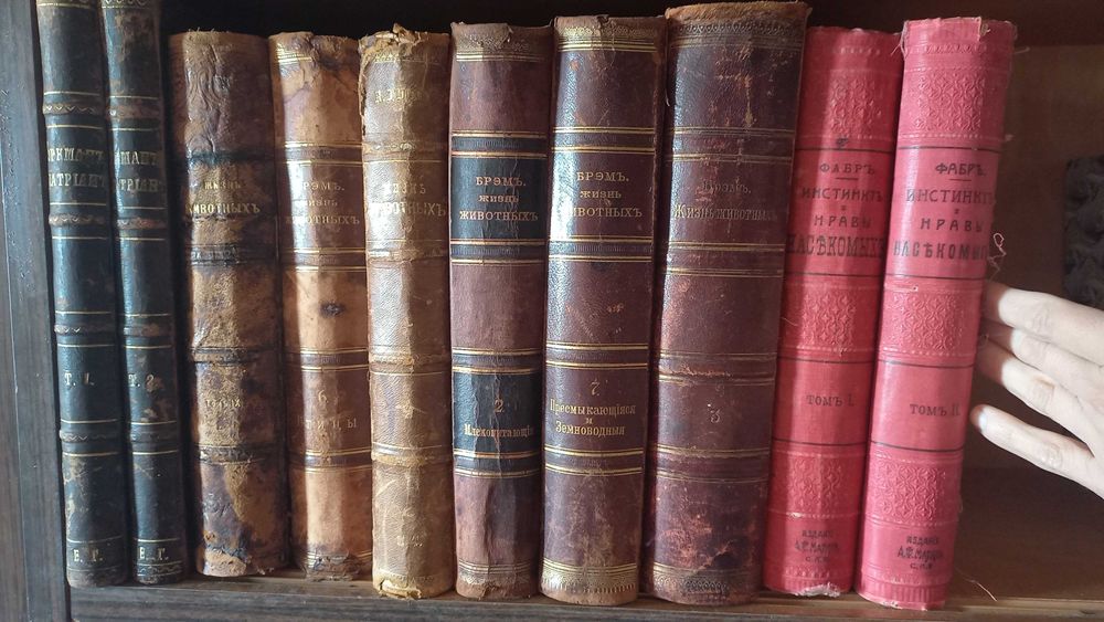 Неймайр,Т.Тюрих,А.Э.Брэм