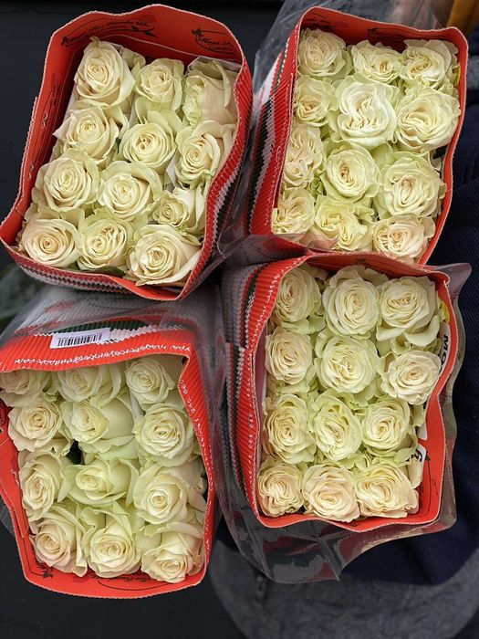 Роза Троянда Квіти від виробника з доставкою по Україні