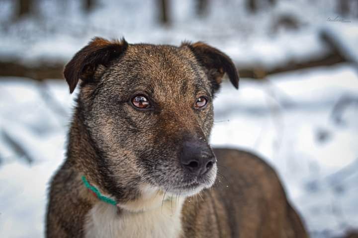 Drugiego takiego jak Kantor nie znajdziesz! Poznaj Go?